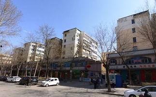 石家庄桃园最新爆料,揭秘神秘爆料背后的真相  第1张